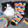 cute women's rainbow stripe paw print socks laying across the most handsome  black and white cat ever
