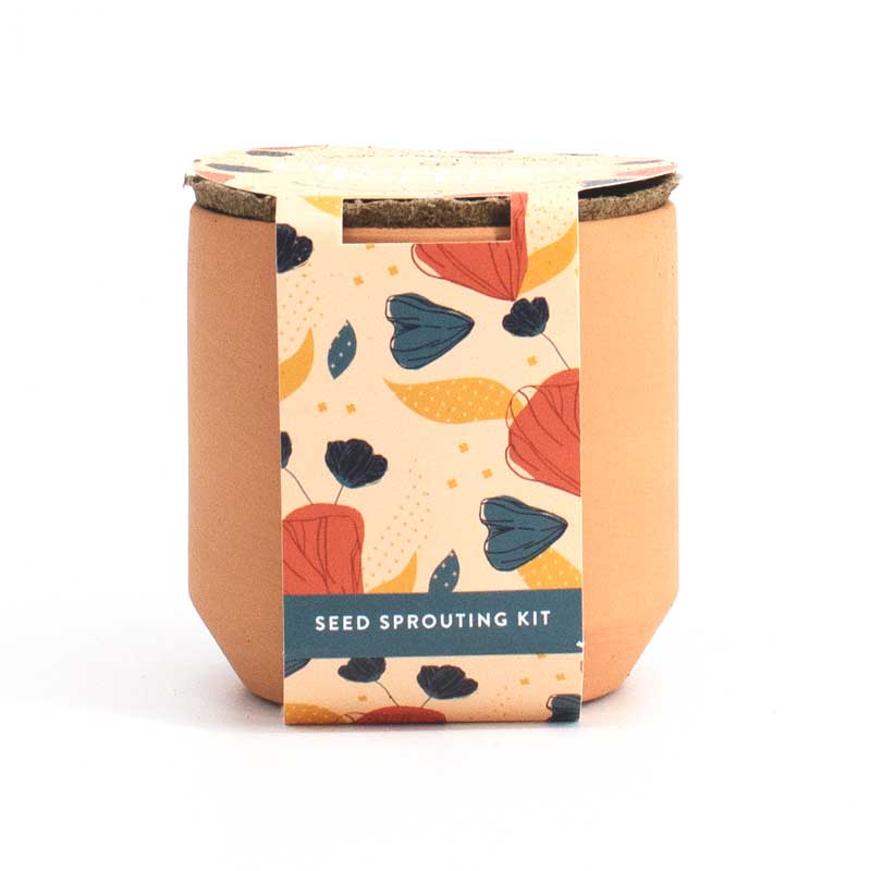 Champagne Poppies Tiny Terracotta Grow Kit Plant Gifts at Goodly