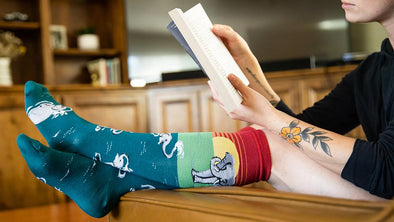 sock gifts for bookworms
