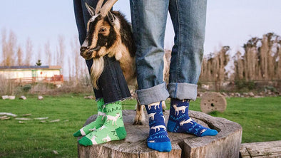 extroverts love our crazy socks!