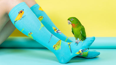 socks for bird lovers