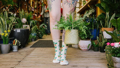 potted plants socks womens
