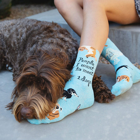 A woman petting her dog wearing funny dog patterned socks that say, “People I want to meet: 1. Dogs”