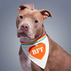 Dog wearing funny, cotton dog bandana with the letters “BFF” inside a red heart
