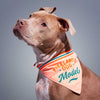 dog wearing fun bandana that says, "freelance dog model"
