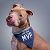 dog wearing funny, cotton bandana that says, “the real MVP”