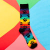Flatlay view of fun paw print novelty socks for men, with rainbow stripes in the background