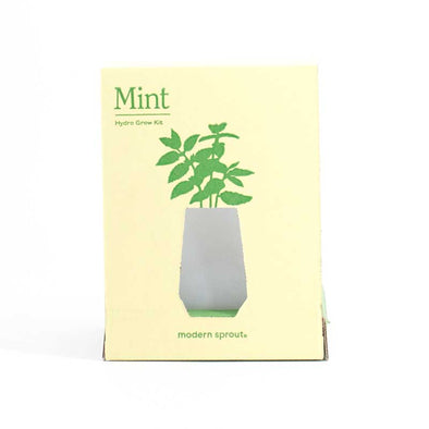 Elegant and fun grow kit for mint