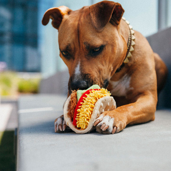 dog with a plush toy shaped like a taco