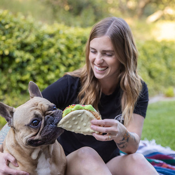 dog and woman with a plush toy shaped like a taco