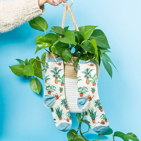 Cute women’s socks with a pattern of various potted plants and watering cans, clipped to a potted plant