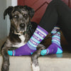 funny unisex socks with stripes and the words "be the person your dog thinks you are"woman wearing funny unisex socks with stripes and the words "be the person your dog thinks you are" next to a large dog