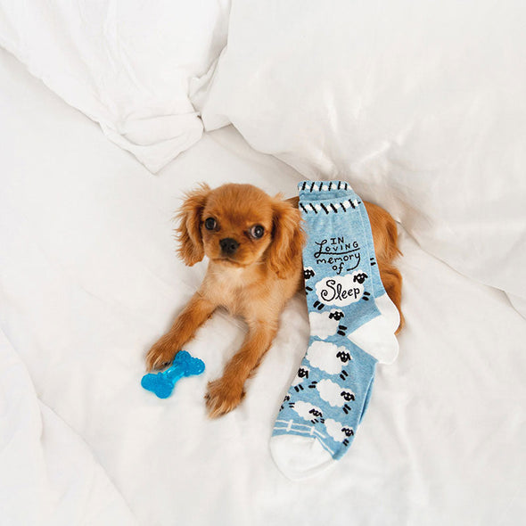 fun women's socks with sheep that say "in loving memory of sleep" lying on top of a really cute puppy