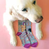 adorable dog sitting over cute women's dog socks that say, “My dog is cool as f*ck”