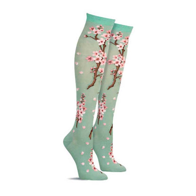 Cute women’s knee high socks with a pattern of cherry blossoms against a solid background