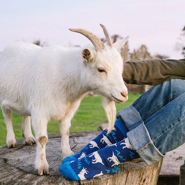A man wearing funny socks with screaming goats and the letters “AAAAH”