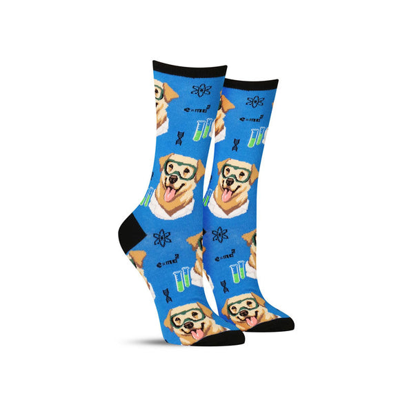 Funny “science Lab” dog socks in blue where they’re doing chemistry experiments